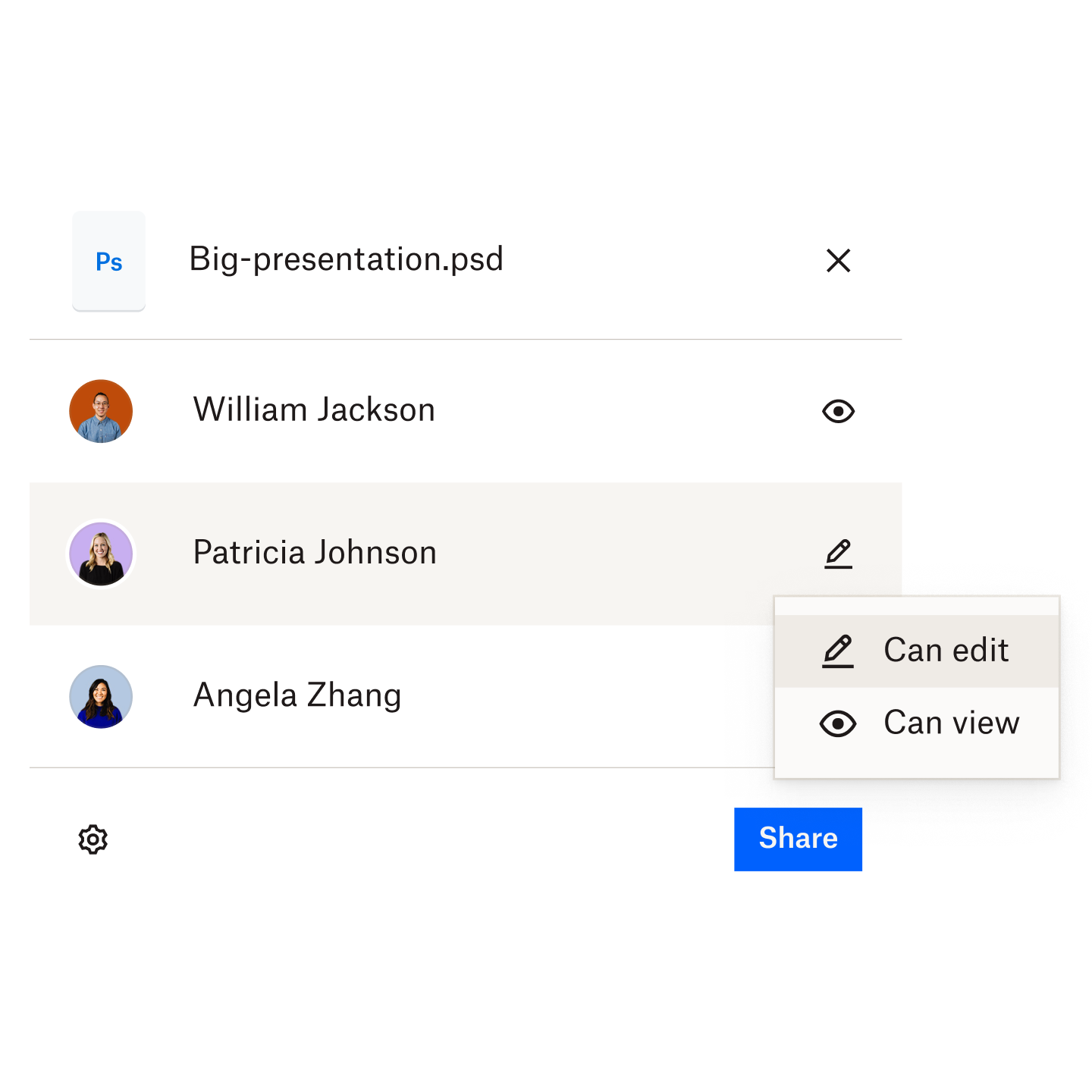  A user selecting the access level for the recipient of a large file