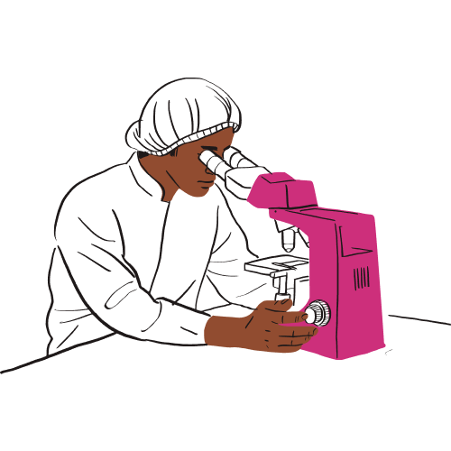 A person wearing a hairnet looks into a microscope.