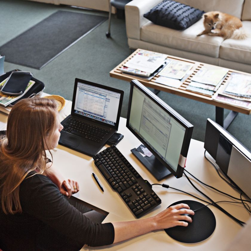 A professional uploads files to their cloud storage.